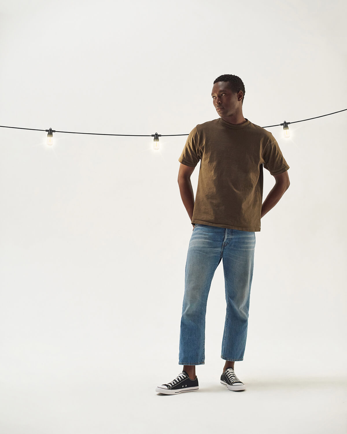 Ambience Pro Solar Non Hanging - Image 2
